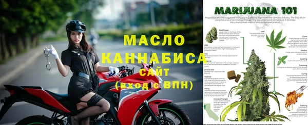 кокс Богородицк