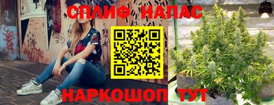 ALPHA PVP Канаш