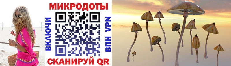 Галлюциногенные грибы ЛСД  Луховицы 