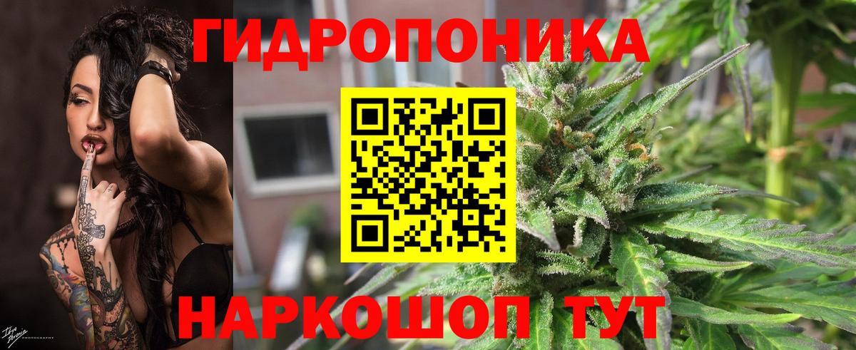 Бошки Шишки марихуана Луховицы